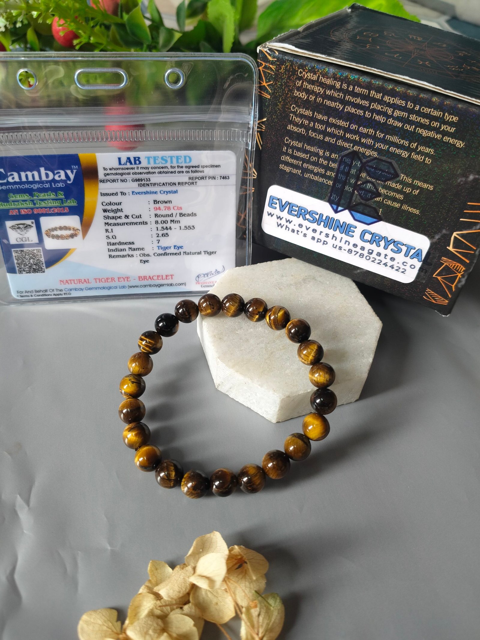 Natural Tiger Eye bracelet for men and women |Natural Tiger Eye stone bracelet | Crystal Collection