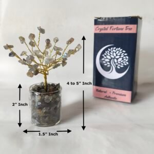 natural stone,reiki,healing crystals,fengshui,tarot,vastu,astrology,numerology,reiki healer,gemstone,crystals,agate,