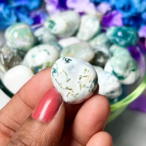 Natural Tree Agate Tumbled Stone | Best Crystal Collection store in india