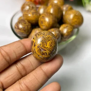 Natural Mariyam Jasper polished tumble stone | Best crystal store in india | gujarat
